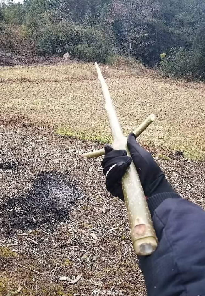 Stick with Hand Guard
