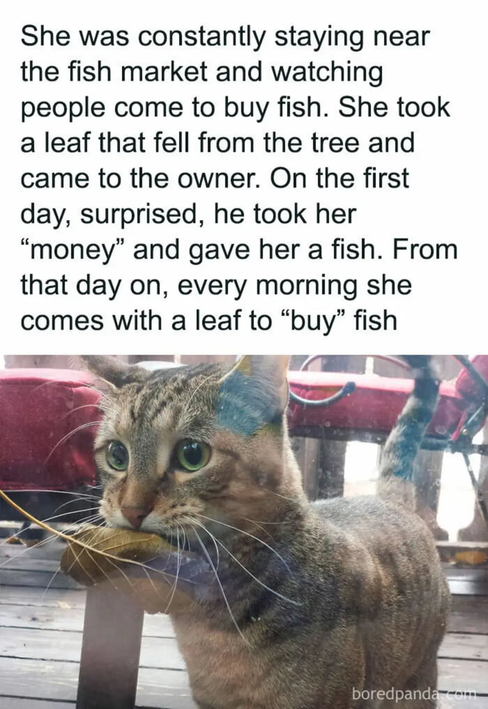 Heartwarming story, but Rebecca.