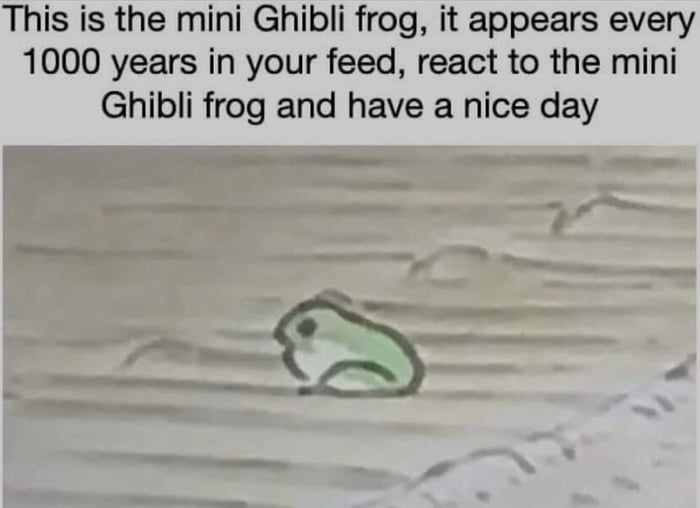 A Ghibli frog to accompany you on a Wednesday.