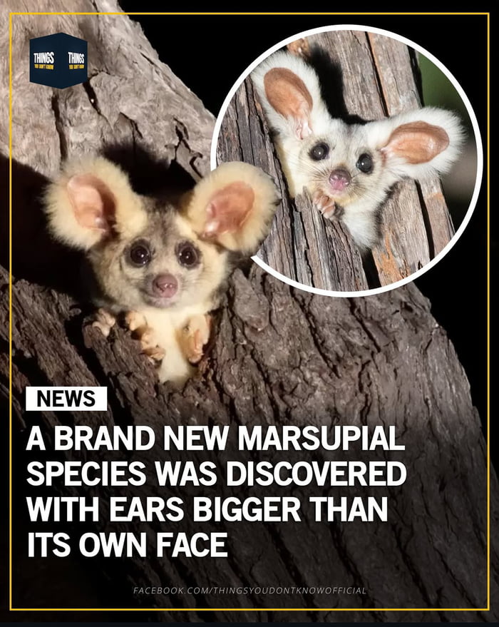 Finally, some good news