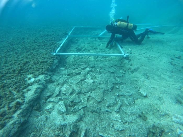 Archeologists found a 7000 year old road under the Mediterranean sea