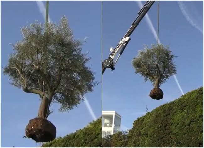 Shakira taking her tree out of Pique house with a crane was the most latin attitude i've ever seen