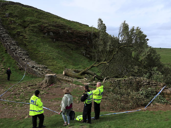 Omg, some 16 year old cut down the famous Robin Hood tree at Scamore gap in Hadrians Wall. I feel the pain.