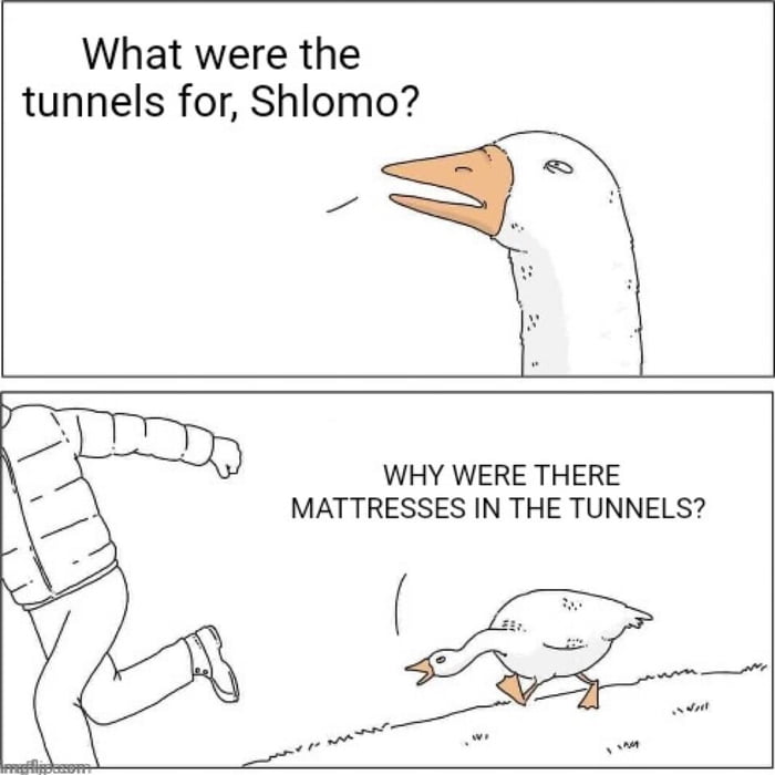 Correct answers only