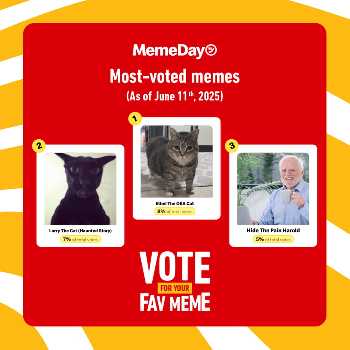📊 Top 3 most voted memes so far!