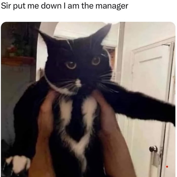 Someone thinks they're in charge