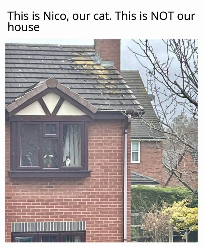 Side families