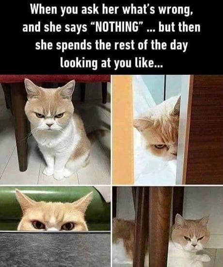 Her 'nothing' face is always a masterpiece