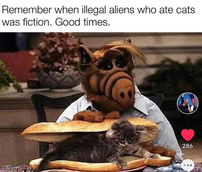 I miss Alf