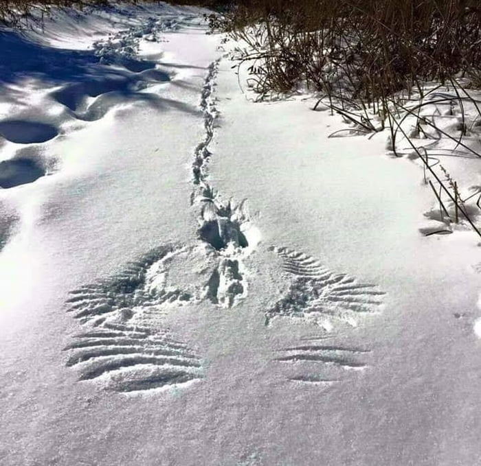 Short stories with tragic endings