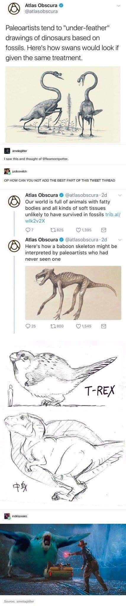 Long post, not sorry!