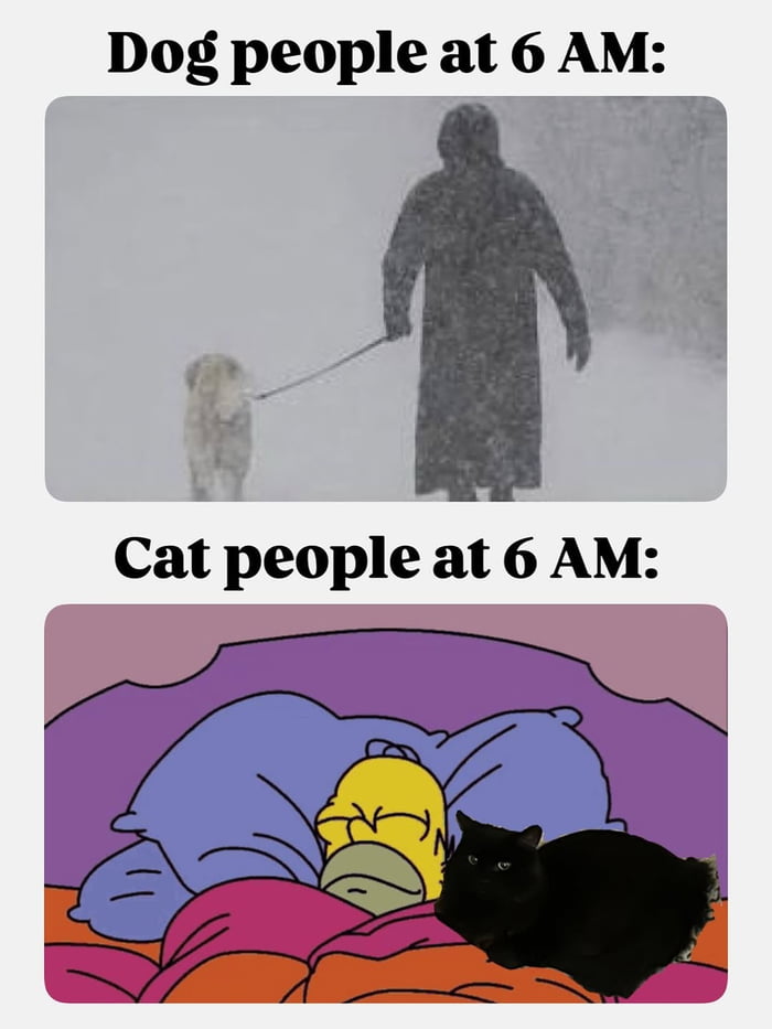 Dog people vs cat people at 6 AM