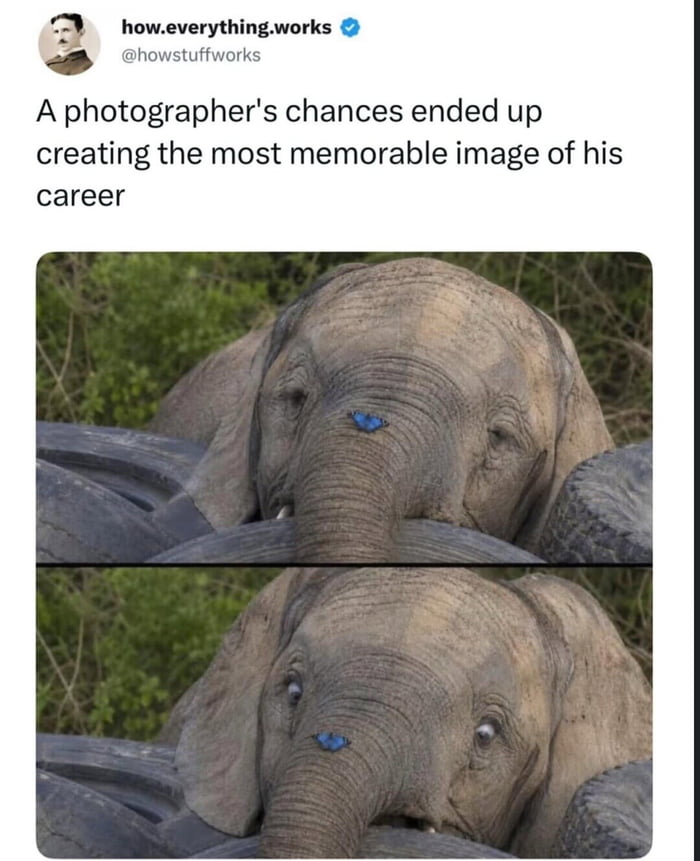 Oh look