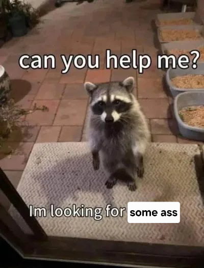 Show me some ass pls