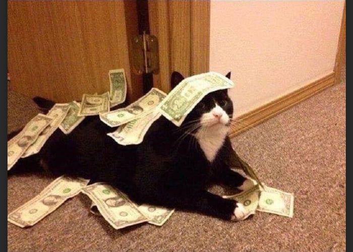 Upvote the money cat. It will bring you nothing but it's a cat. And has money. Isn't it so incredible attractive?