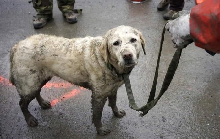 This angel worked all night, saved 10 lives <3
