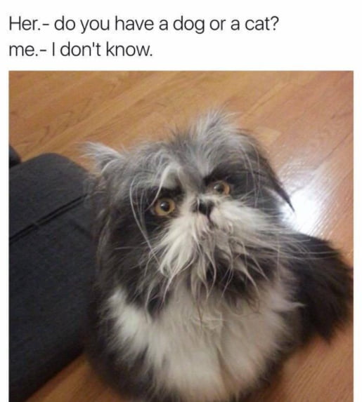 No idea either.
