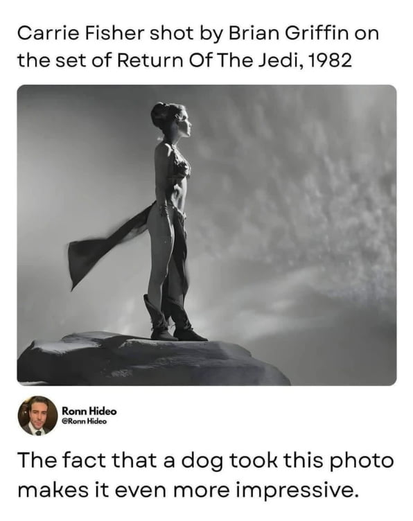 I knew he was a talented dog but damn...