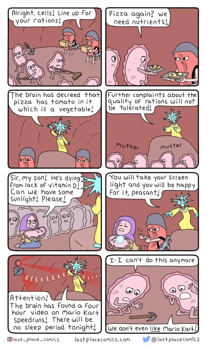 Your journal of daily shitposts has been updated. Rejoice normies