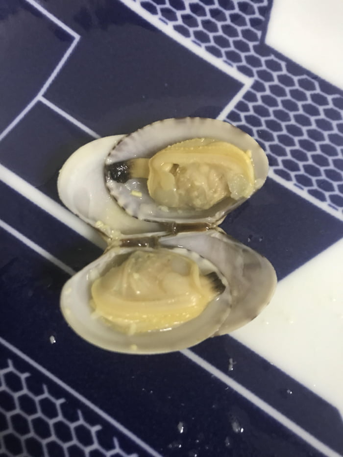 Clamity, Alpha Construct of the Depths. May inflict Confusion on observers.