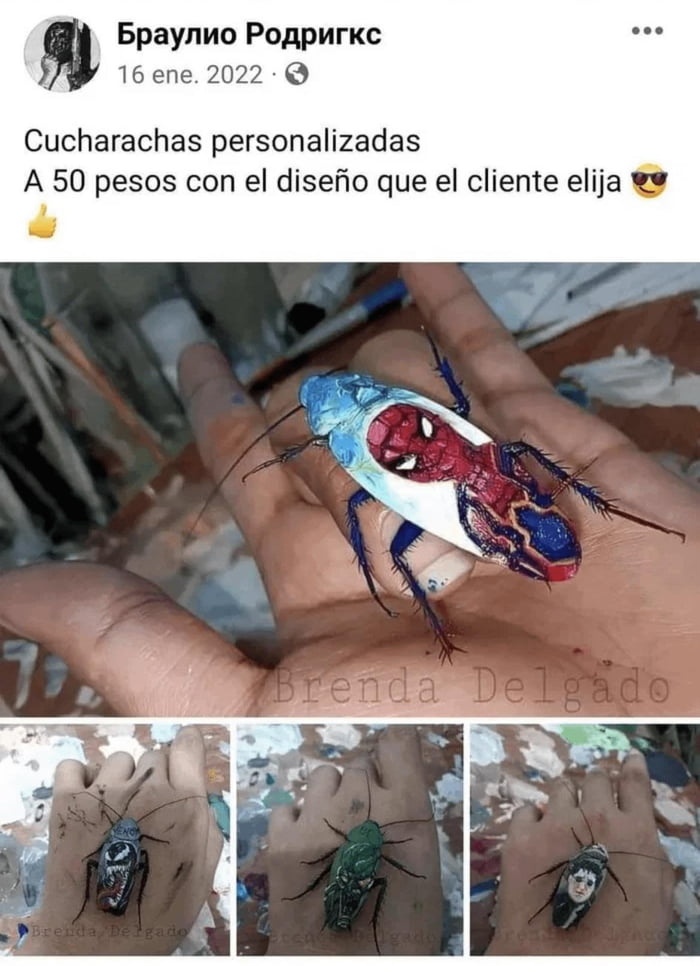 Painted cockroaches