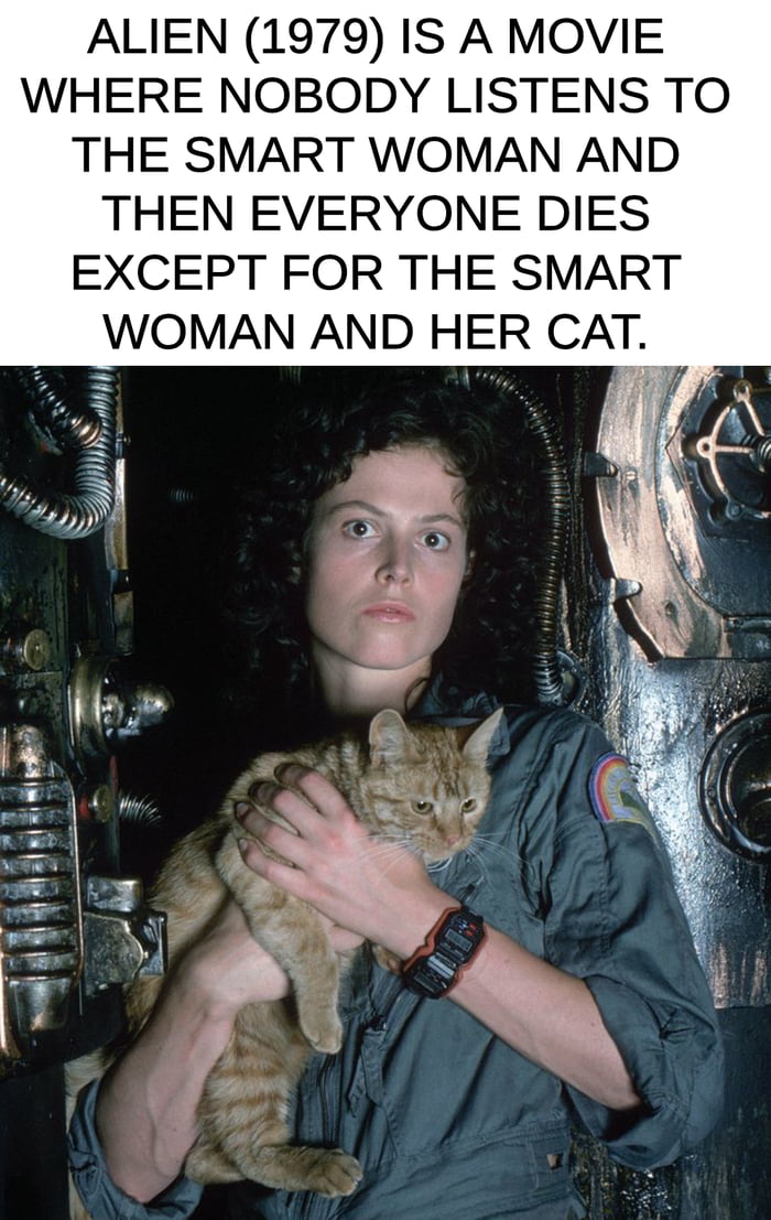 I guess this is "explain a plot accurately".