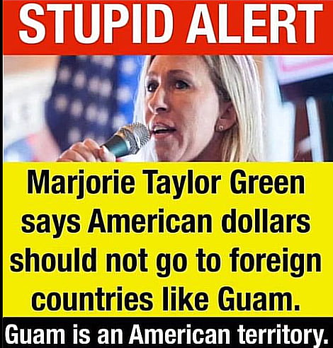 Stupid Alert!