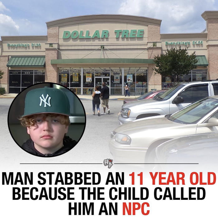 Imagine being triggered over some 11 year old kid calling you “NPC” to the point you resort to stabbing him