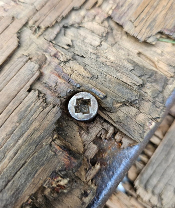 What type of screw is this?