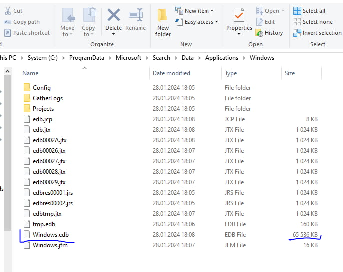 This indexing file was 202 GB large before I rebuild it. If you are loosing free space on your Windows drive and cannot locate it, it just might be this little bastard - Windows.edb