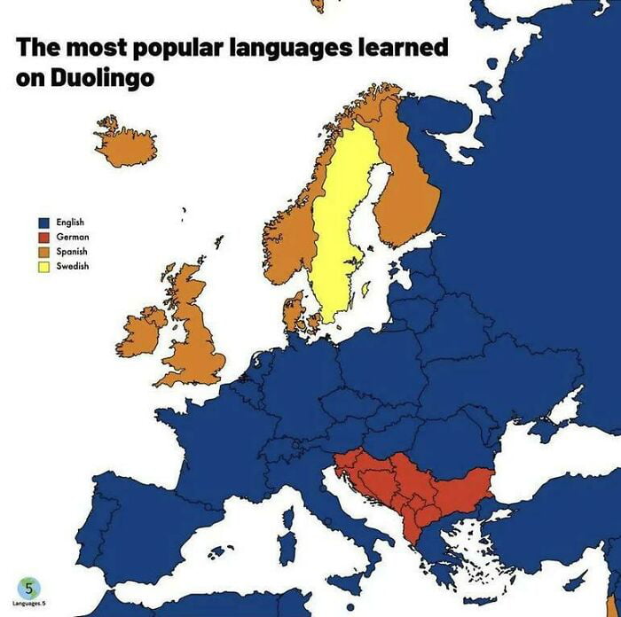 Duolingo stats