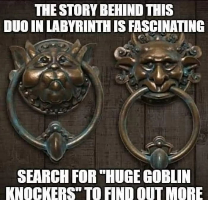 Even better than the punk caterpillar!