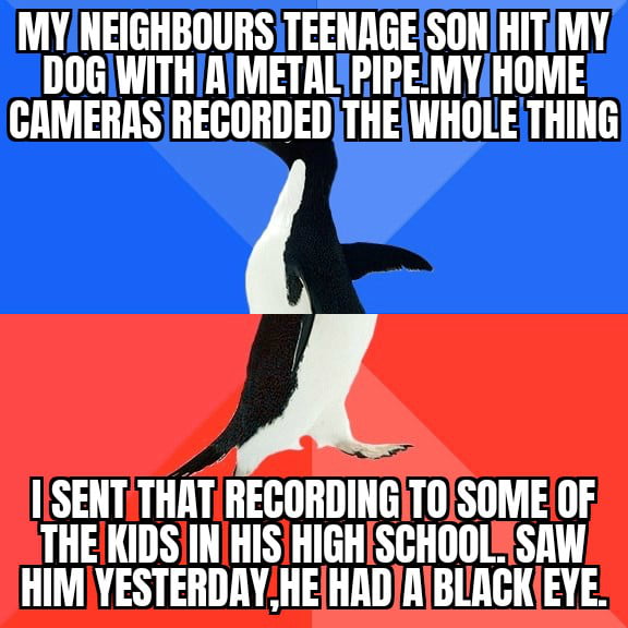 I give guitar lessons to some of the kids in his high school. I messaged them saying I would have to cancel today's class because my dog was hurt.when they asked me what happened,I sent them the video. Now he's being bullied at school.