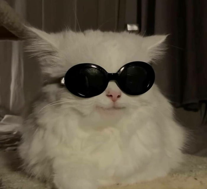 Funky fresh