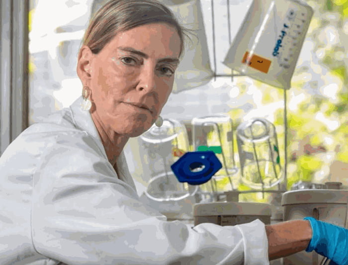 Brazilian researcher create a treatment to cure spinal damages. Six former quadriplegic persons already regained the ability to walk.