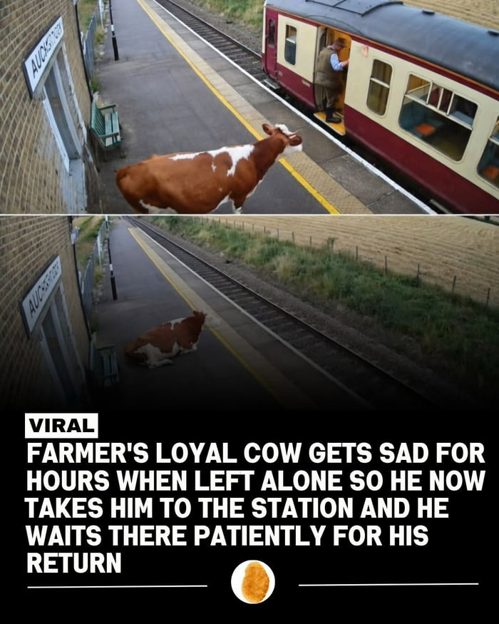 This is true friendship goals