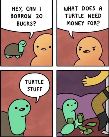 10/2022 Turtle Stuff