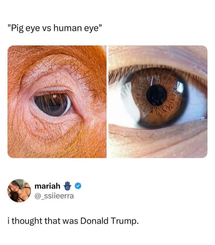 Who's eye? 👀