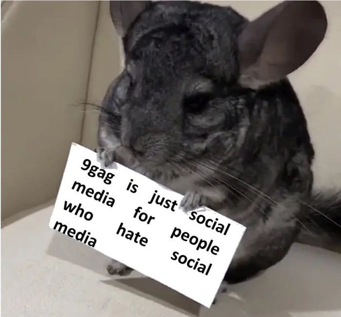 It used to, but now it's just for racists, propaganda and sh*t.. it's a place where people share hatred. I don't use it much anymore..