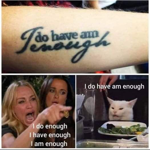 I agree with the cat