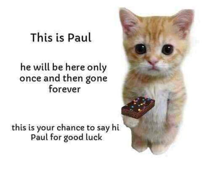 Say hi to paul