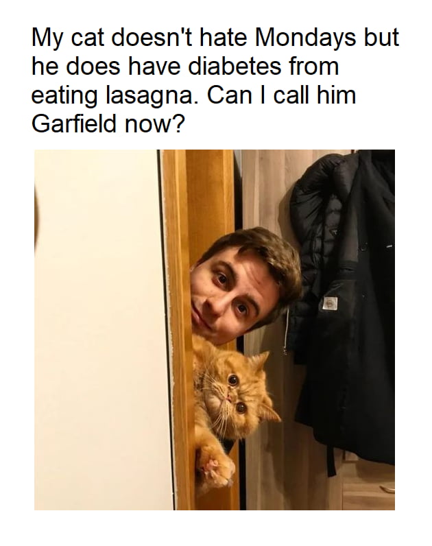 Holup, Garfield...!