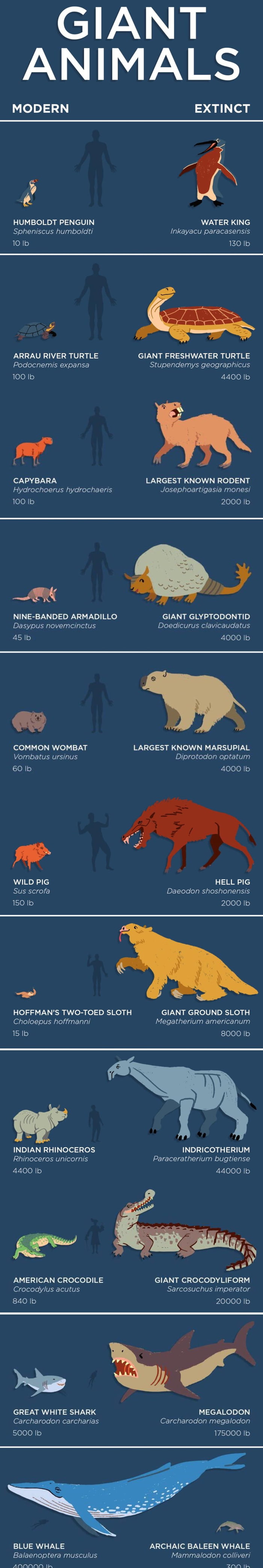 Ancient animals