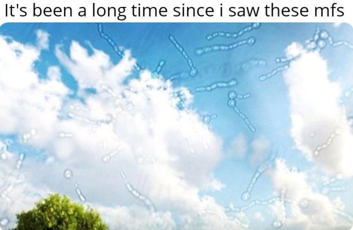 I wonder what happened.
