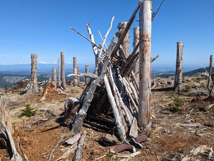 Starting over again after 10 years of marriage... It ain't much but... Wish ne luck