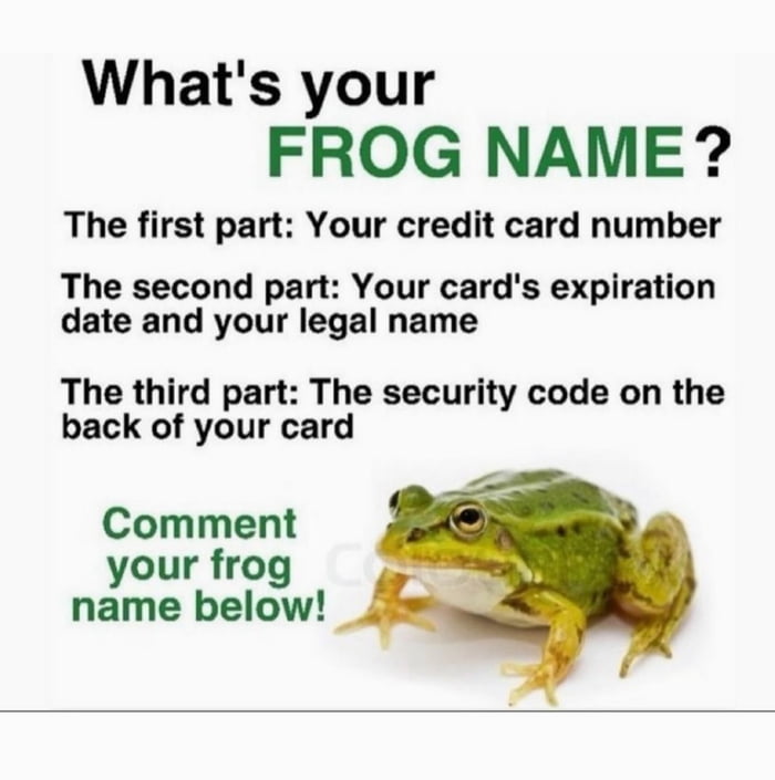 Another wednesday, another frog