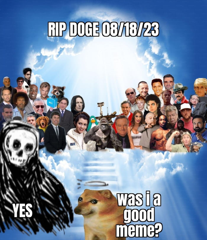 So long, dogo