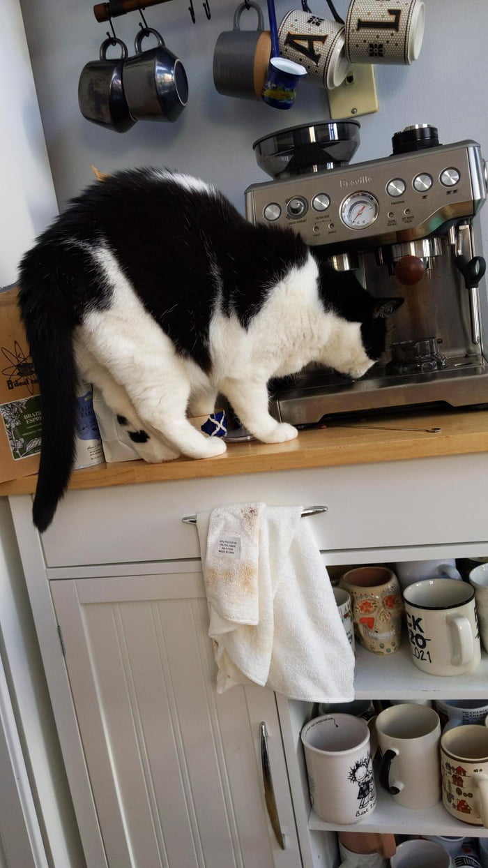 We will have to replace the gaskets and it’ll be 30 wet food please.