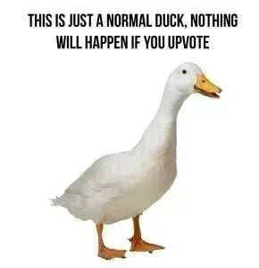 This F*vking duck