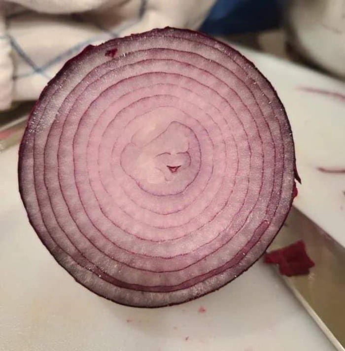 Don’t ignore the happy little onion and you’ll have the best 2025 ever